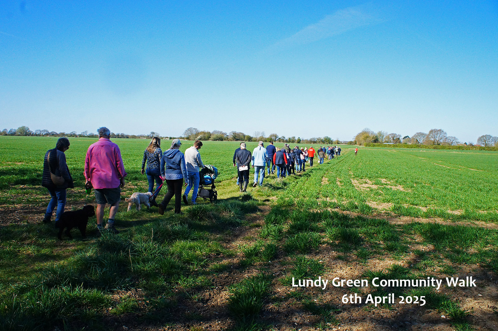 South Norfolk countryside